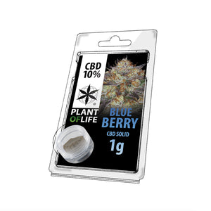 Sólido de CBD Blueberry 10% 1G